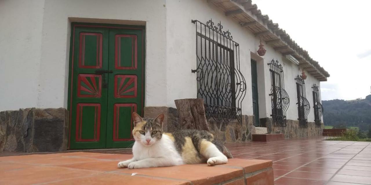 & Glamping De Ruana Por Boyaca Chalet